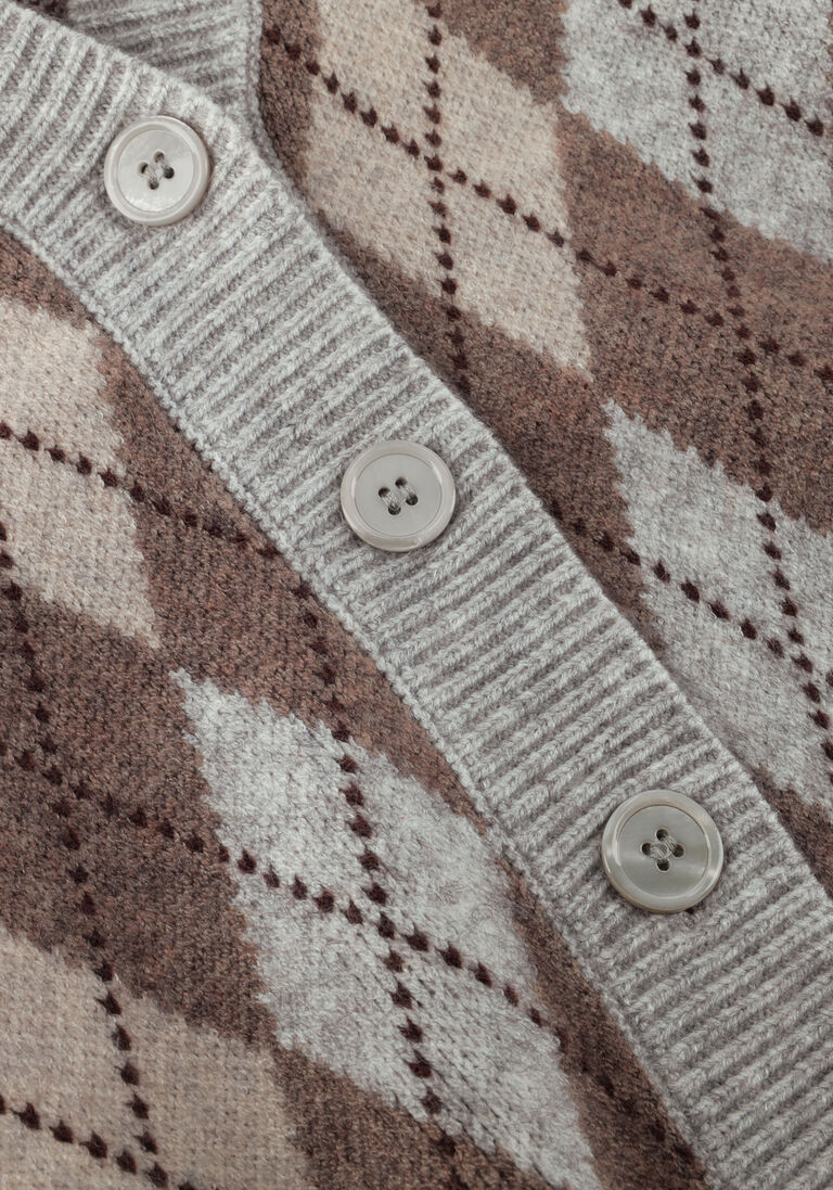 multi co'couture trui row check cardigan