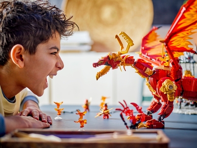 LEGO Brondraak van Beweging (71822)