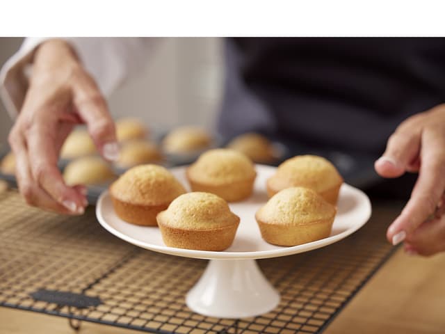 Blomsterbergs Muffinform til 12 stk. Latte
