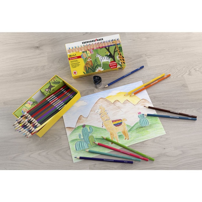 Buntstifte 36+1+1 - Colori - Bonuspack - mit Bleistift + Spitzer