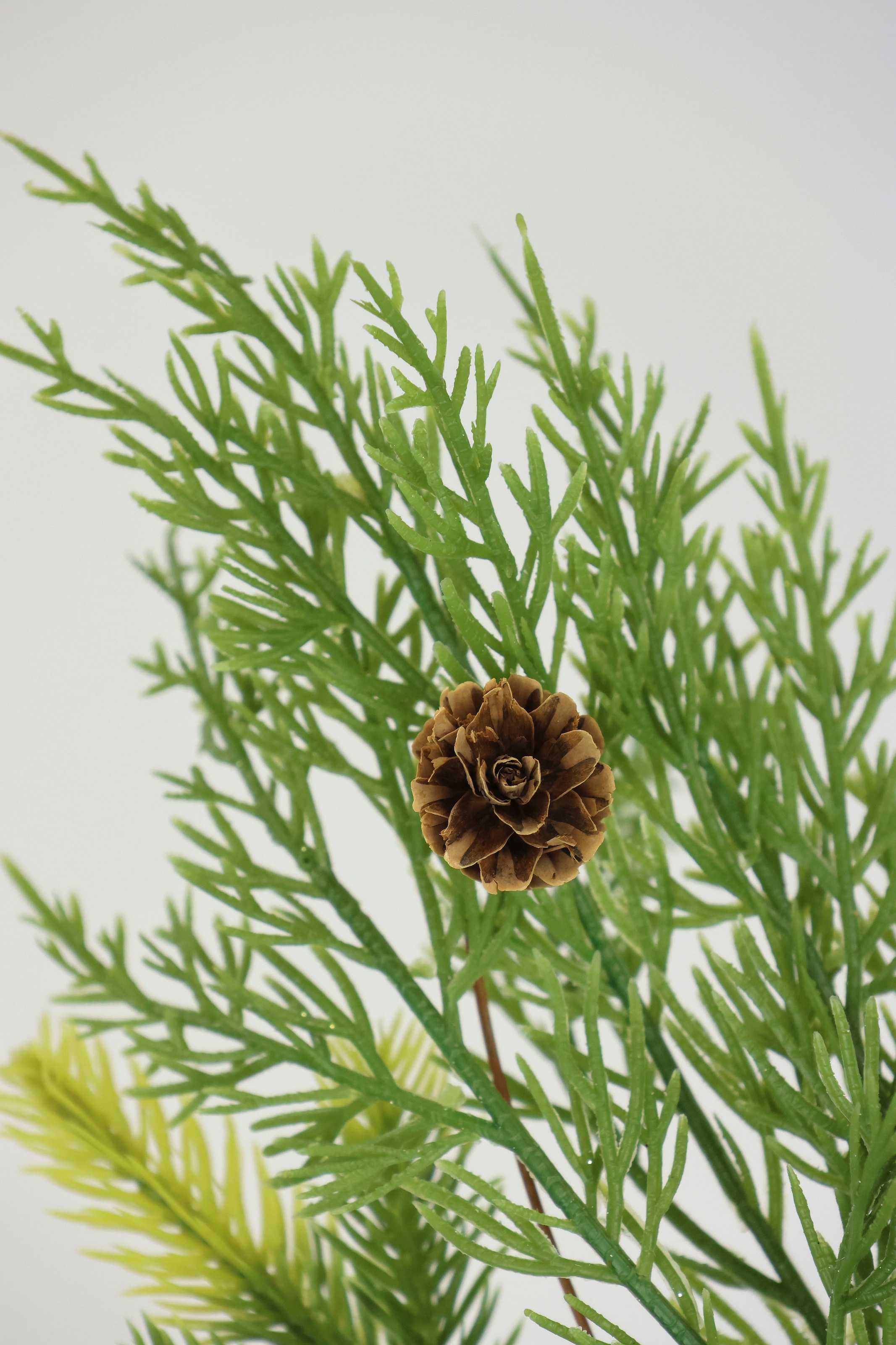 I.GE.A. Kunstzweig »Weihnachtszweig Tanne/Beeren/Efeu/Thuja« 2er Set Künstlicher Zweig Blume Weihnachtsdeko Dekozweig Dekoration