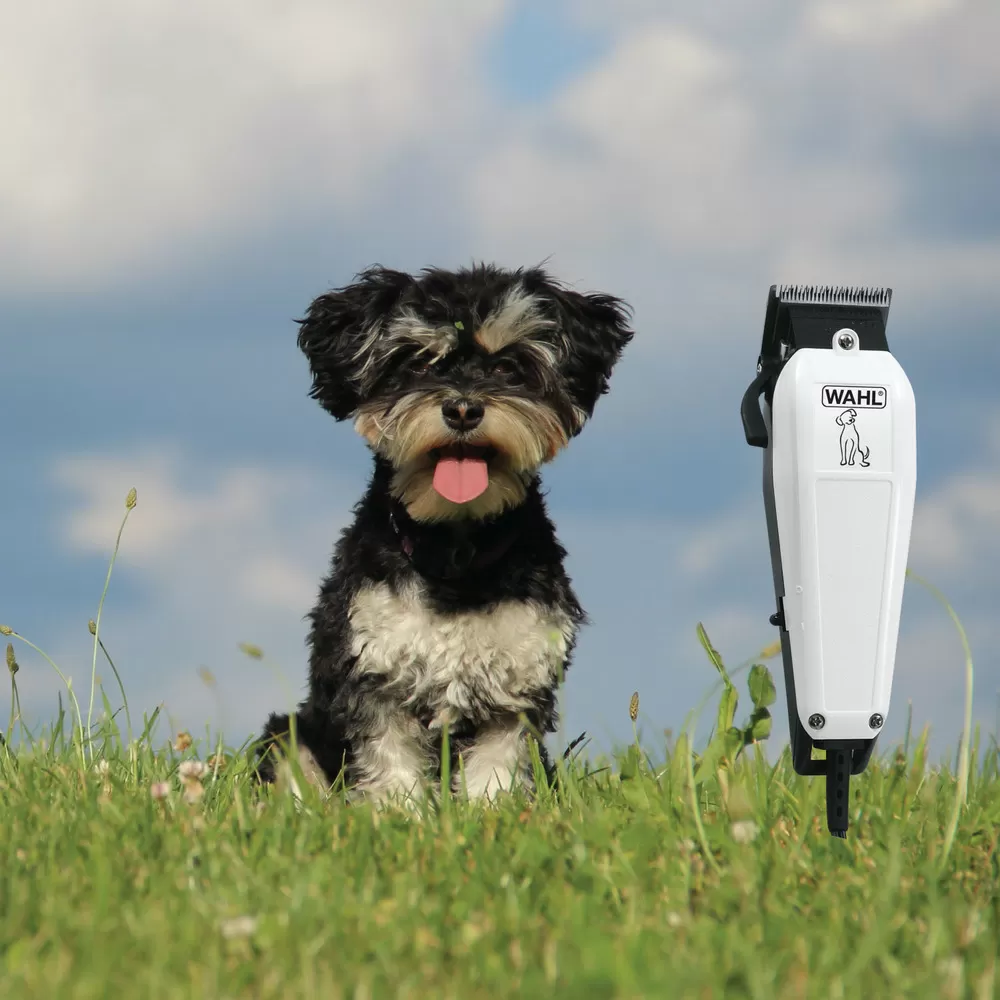 Wahl Hundeklipper Starter - 1 stk.