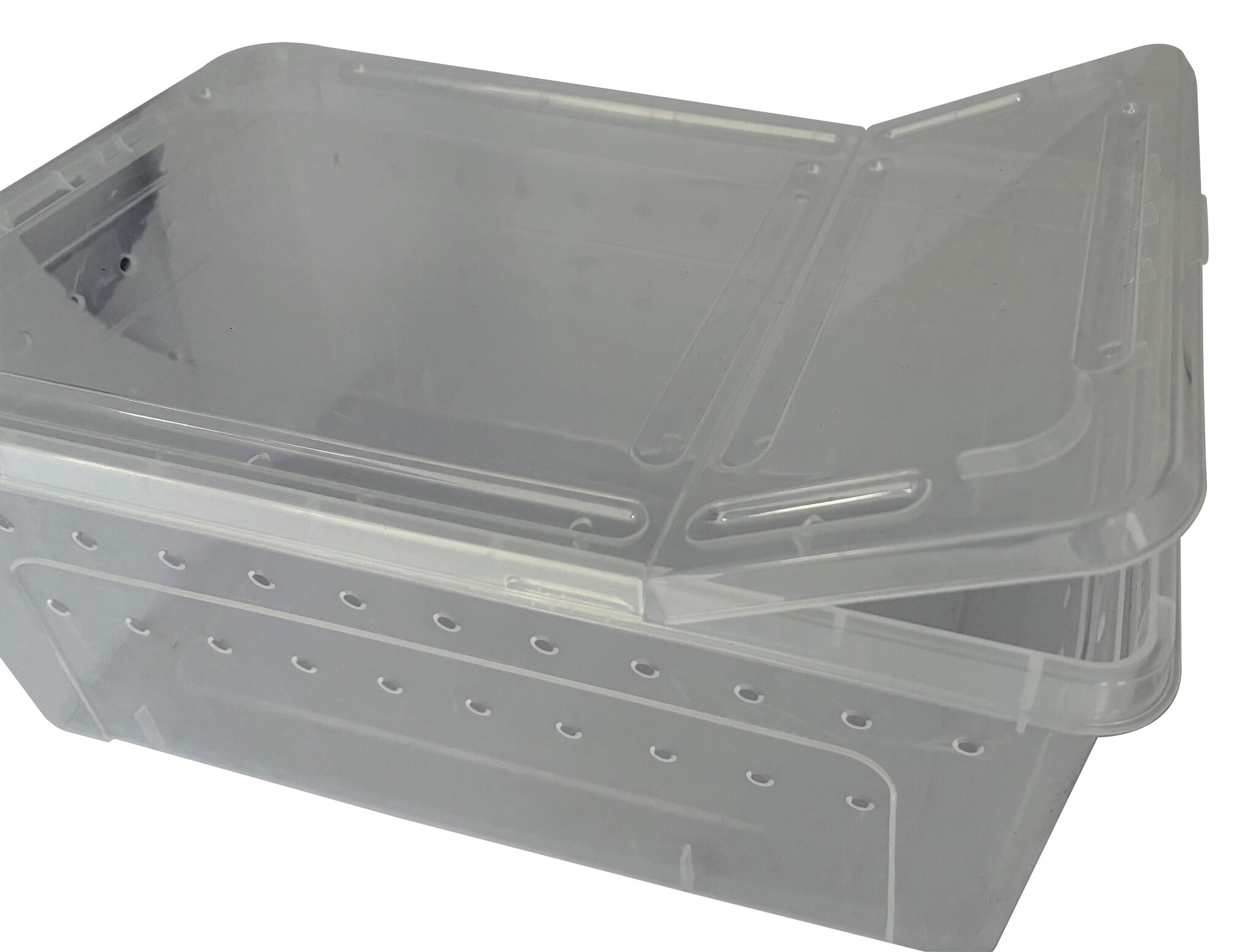 Repto Transport Box 37x24x16cm