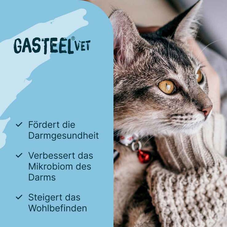 Gasteel Diät-Ergänzungsfuttermittel Kapseln für Hunde / Katzen, 50 St