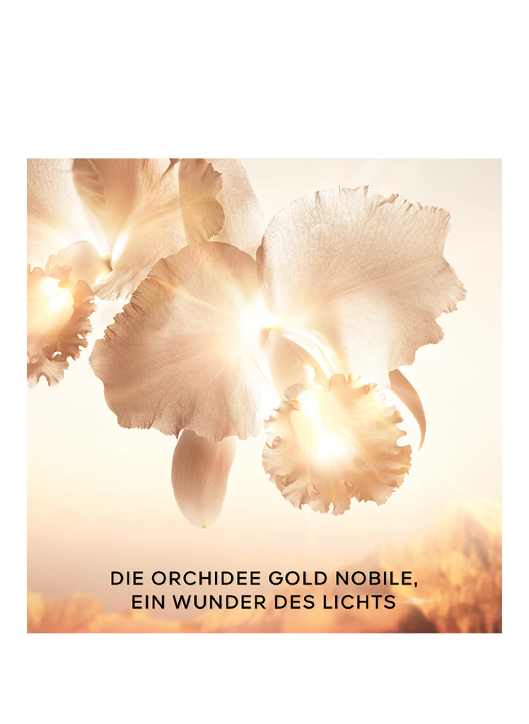 GUERLAIN ORCHIDÉE IMPÉRIALE GOLD NOBILE CREME