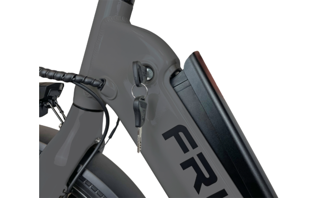 Blaupunkt Fridel faltbares E-Bike 24 Zoll 250W