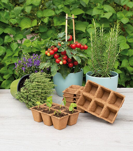 Sogo kweekpot 6 x 6 cm 6 stuks