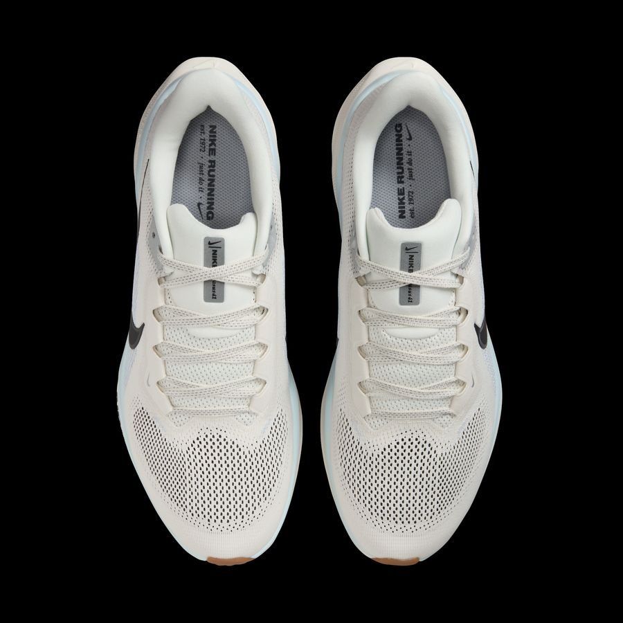 Nike Pegasus 41