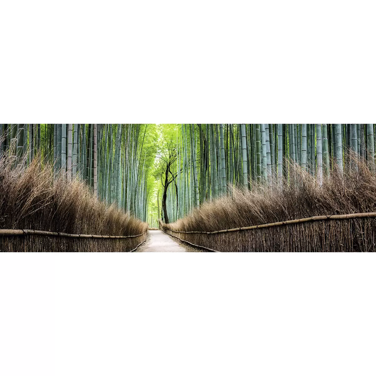 Keilrahmenbild Der Weg DCP 155x53 Der Weg braun,grün