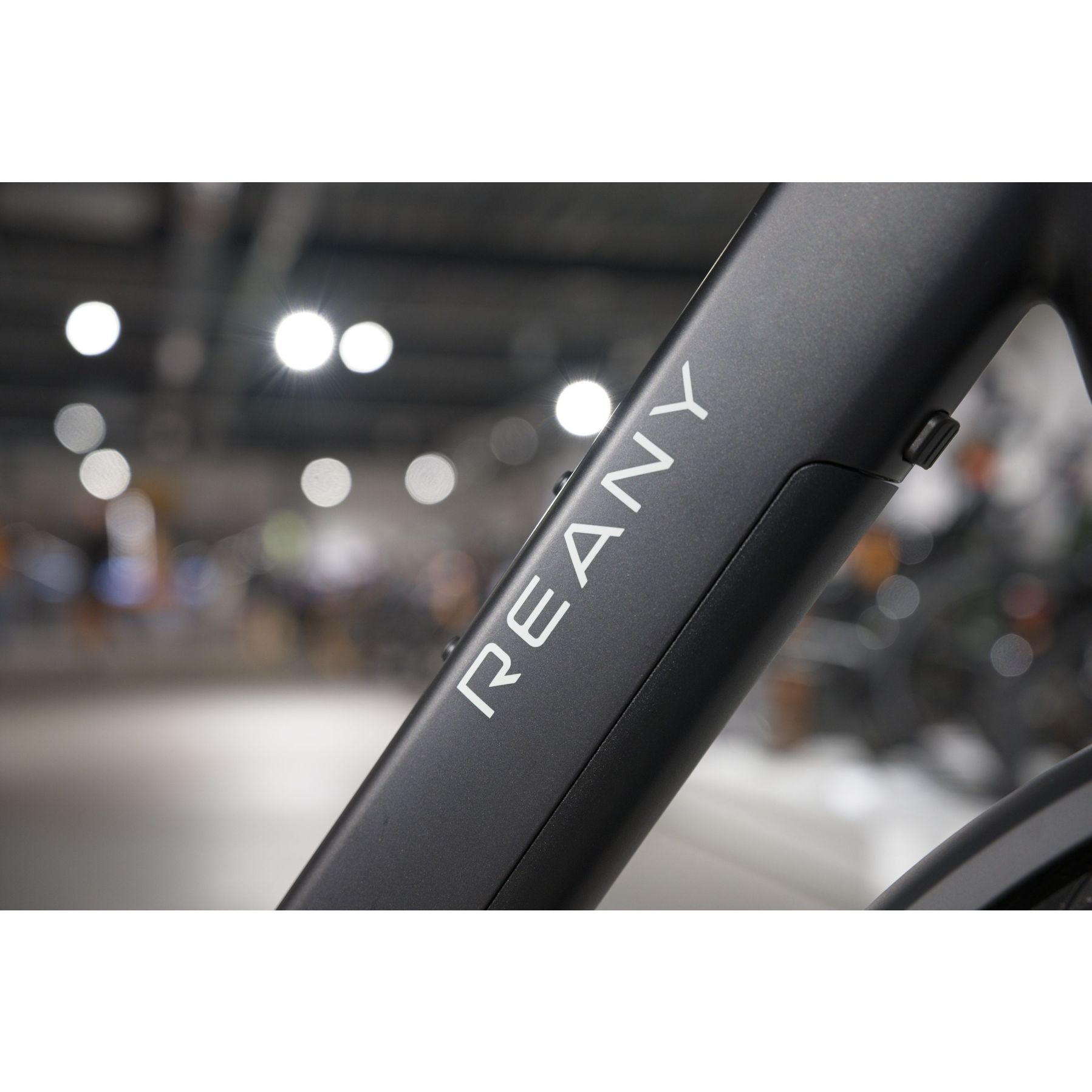 Reany V1