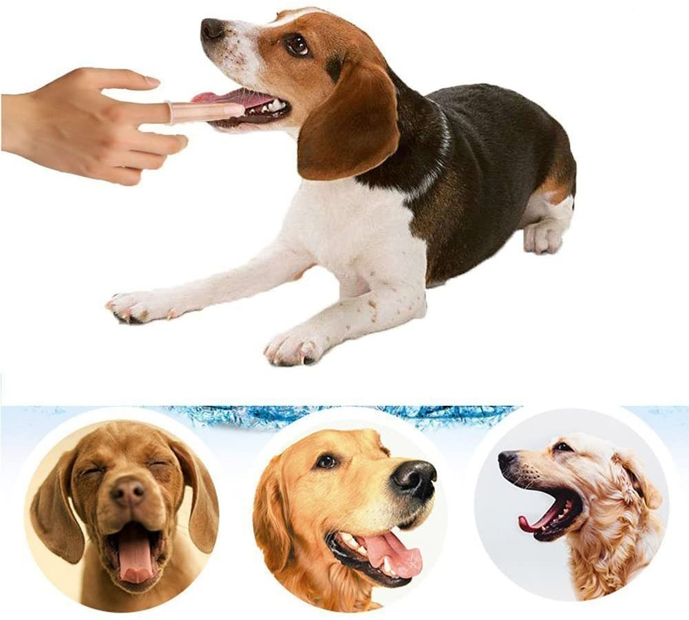 (5er Set) Silikon Hunde Finger Zahnbürste Zahnpflege - Transparent