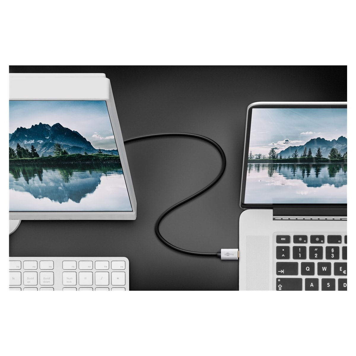 USB-C™ til DisplayPort-adapterkabel, 3 m