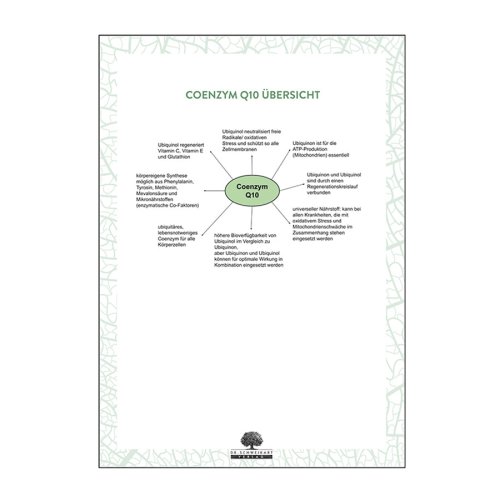 Sunday Natural Products  Coenzym Q10 - Energie-Enzym und Antioxidans