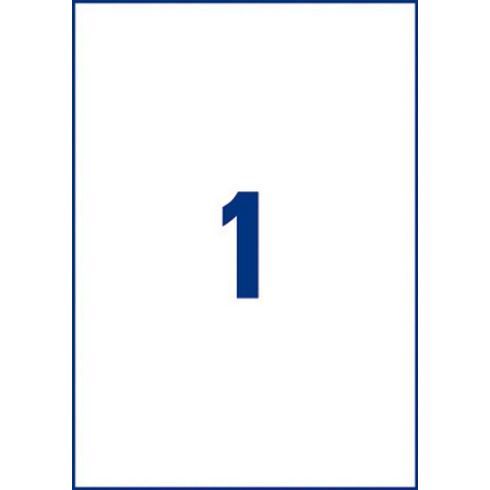 Etiquette adresse laser 210 x 297 mm Avery L7567-25 transparente - Pochette de 25