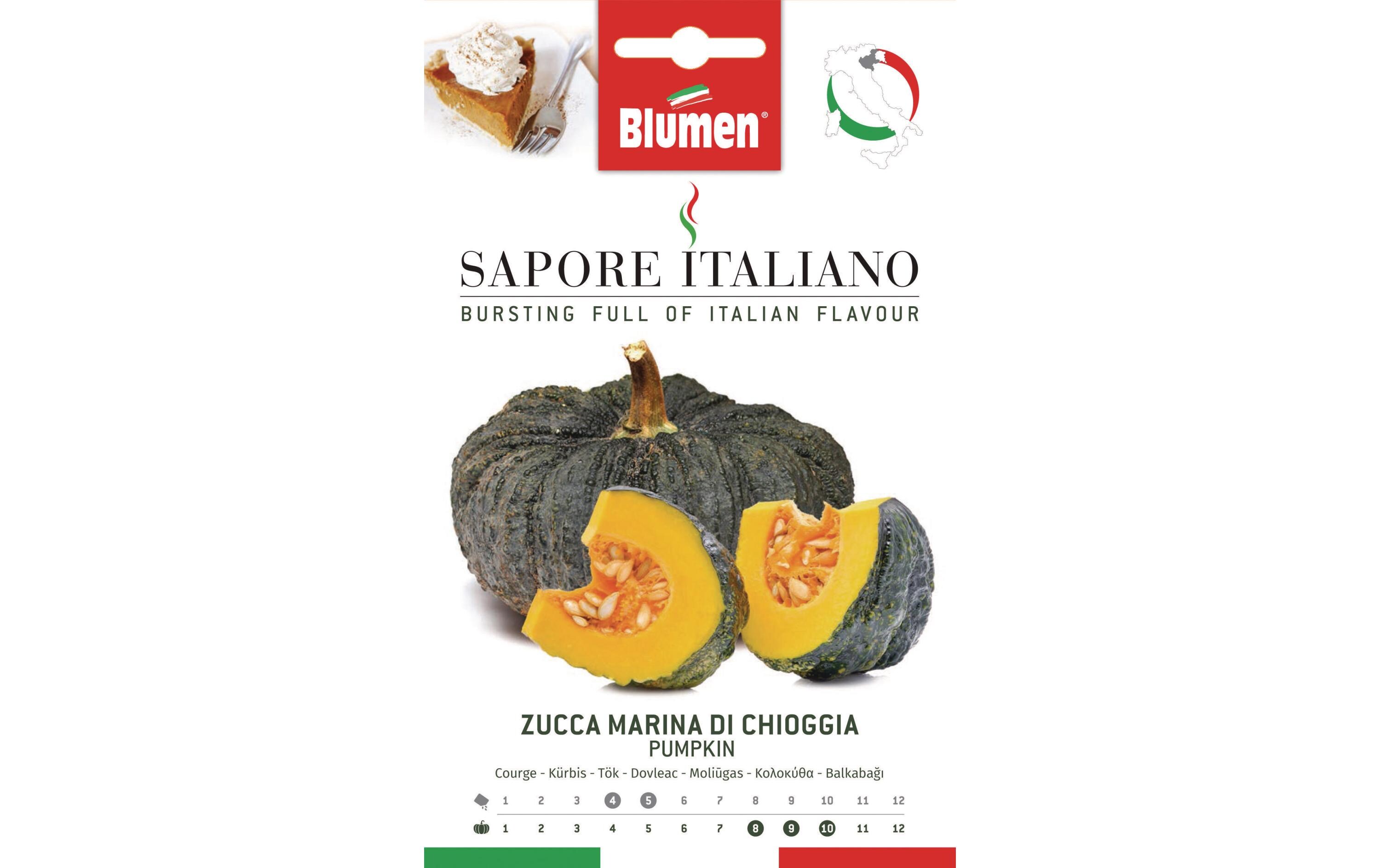 Samen Kürbis Marina di ChioggiaGemüsesamen
