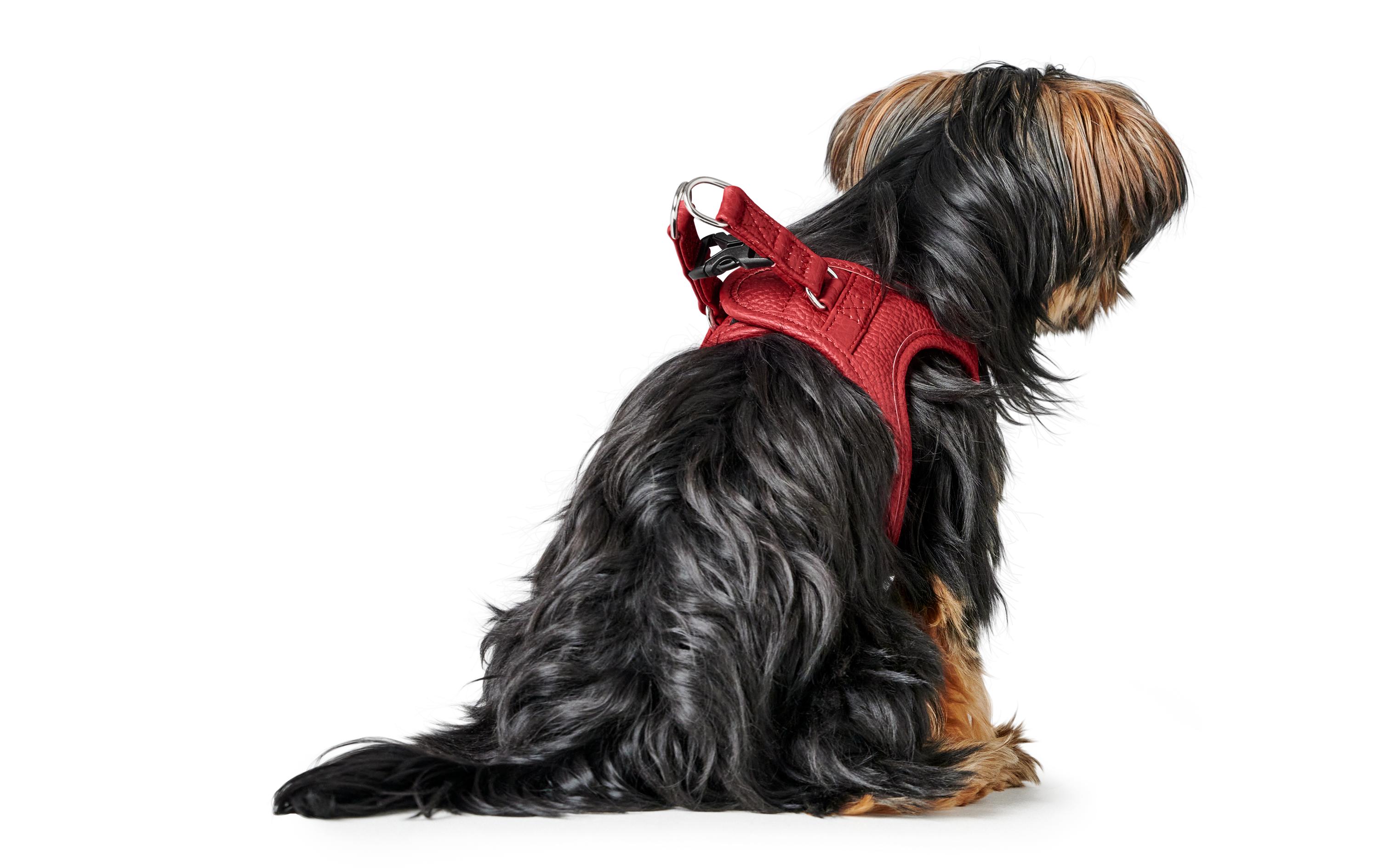 Geschirr Love 37-40/XS-S, Rot/SchwarzLeichtes Geschirr für kleine und kopfscheue Hunde