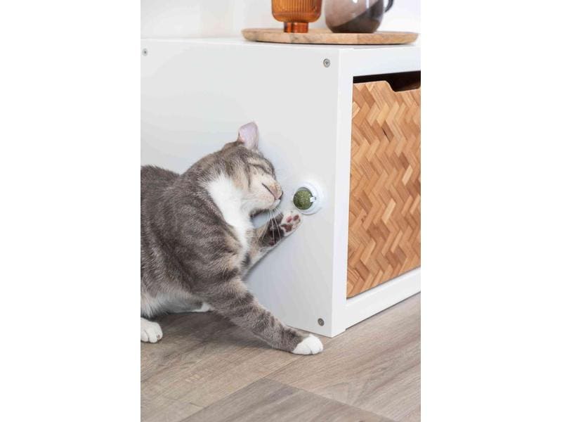 Trixie Katzenminze Ball mit Halterung, ø 5 cm Snack-Spielzeug
