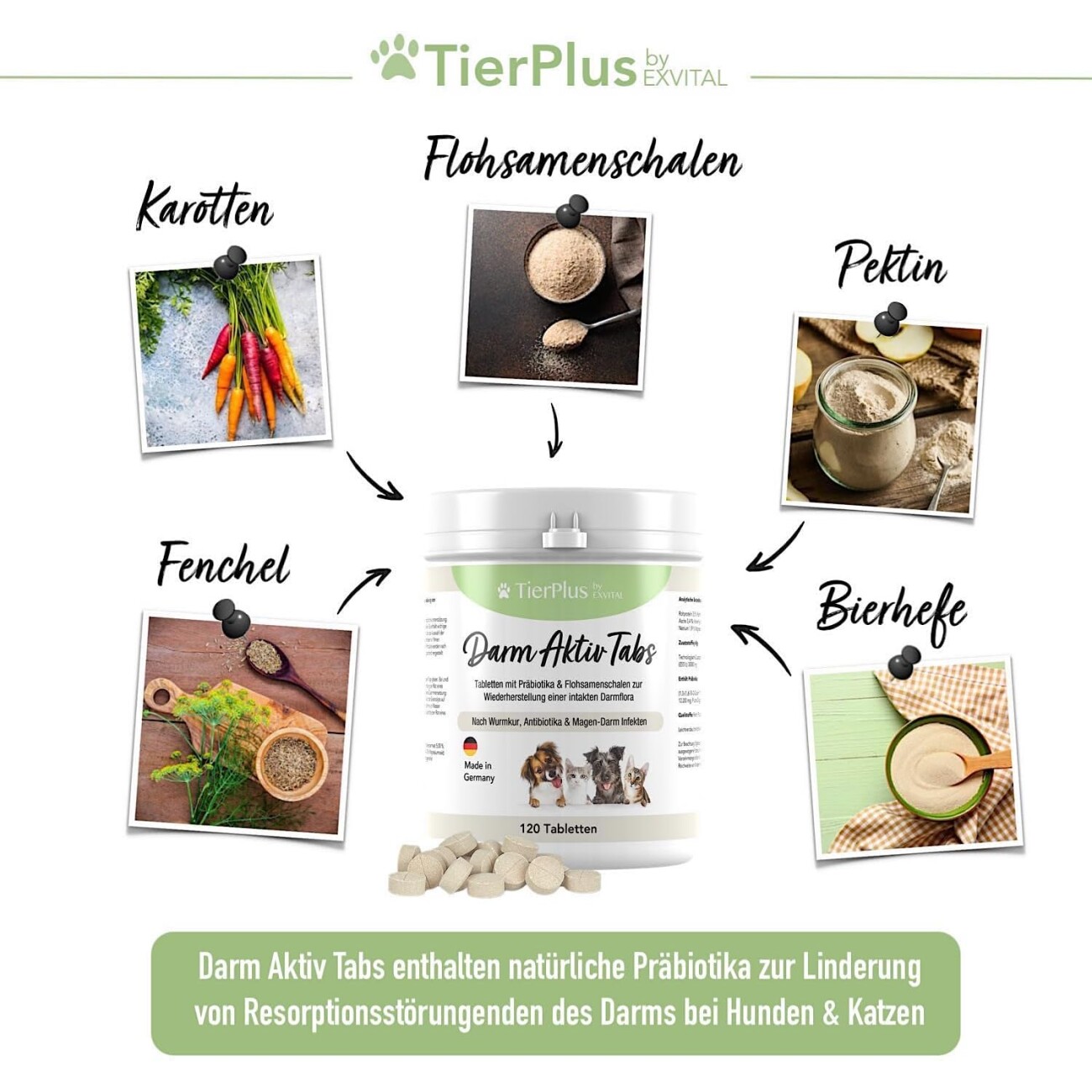 TierPlus ® Darm Aktiv Tabs Präbiotika