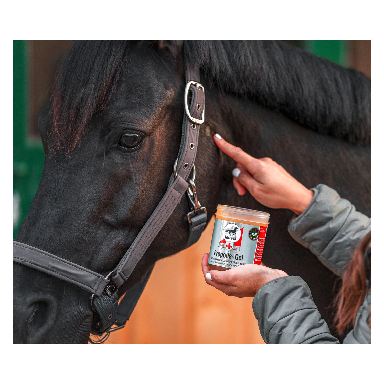 leovet Erste-Hilfe Propolis Gel  - 350 ml