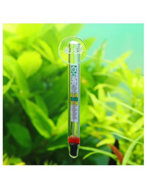 Jbl Aquarium Thermometer Float - Aquarium Toebehoren - Transparant