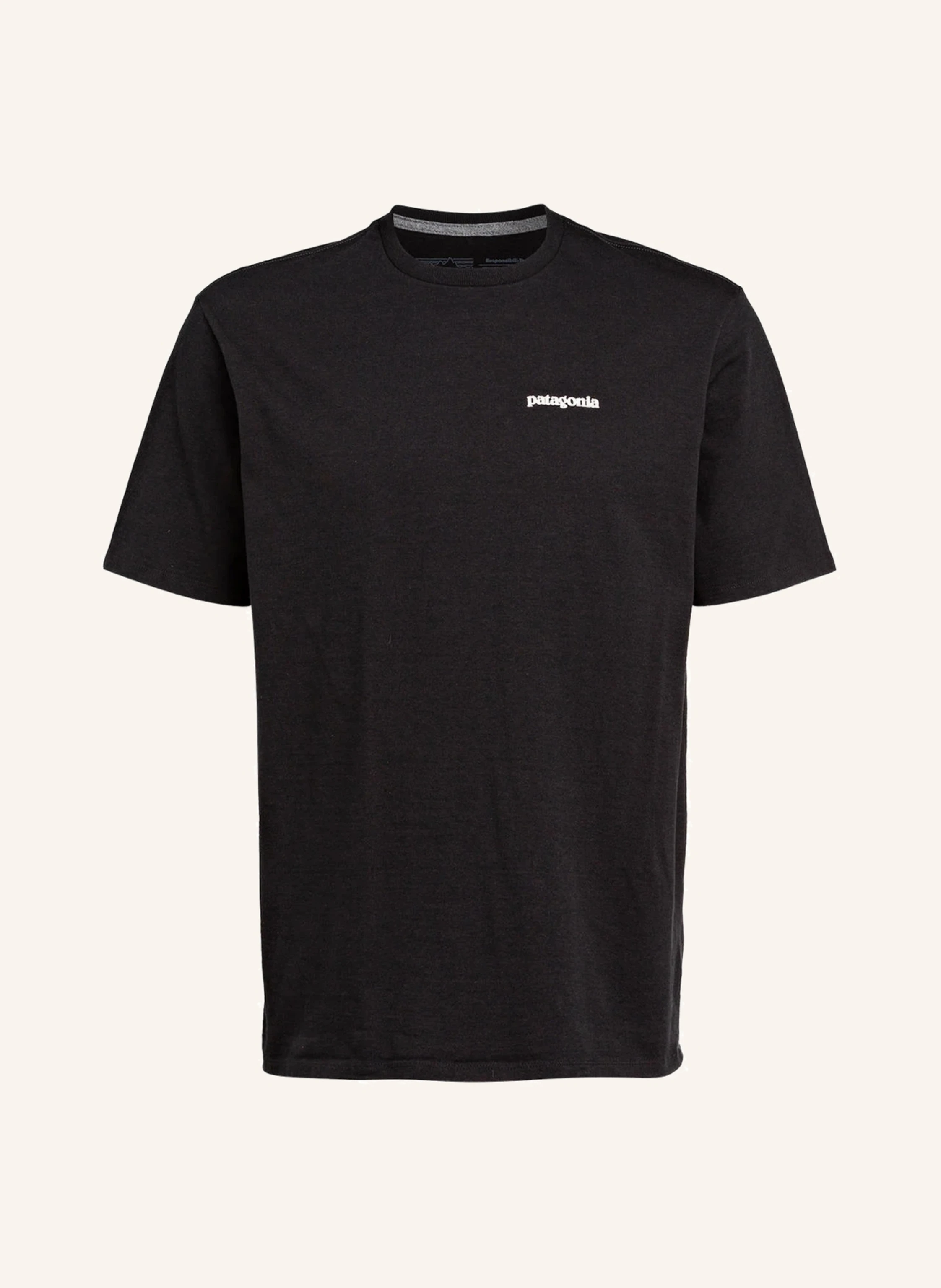 patagonia T-Shirt P-6