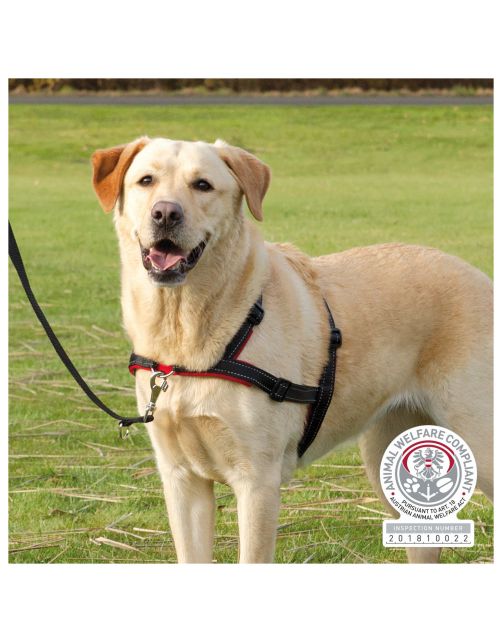 Trixie Lead'N'Walk Soft Tuig Zwart - Hondenharnas