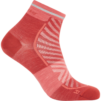 Icebreaker Merino Run  Ultralight Mini Socken Jasper / Plume Herren