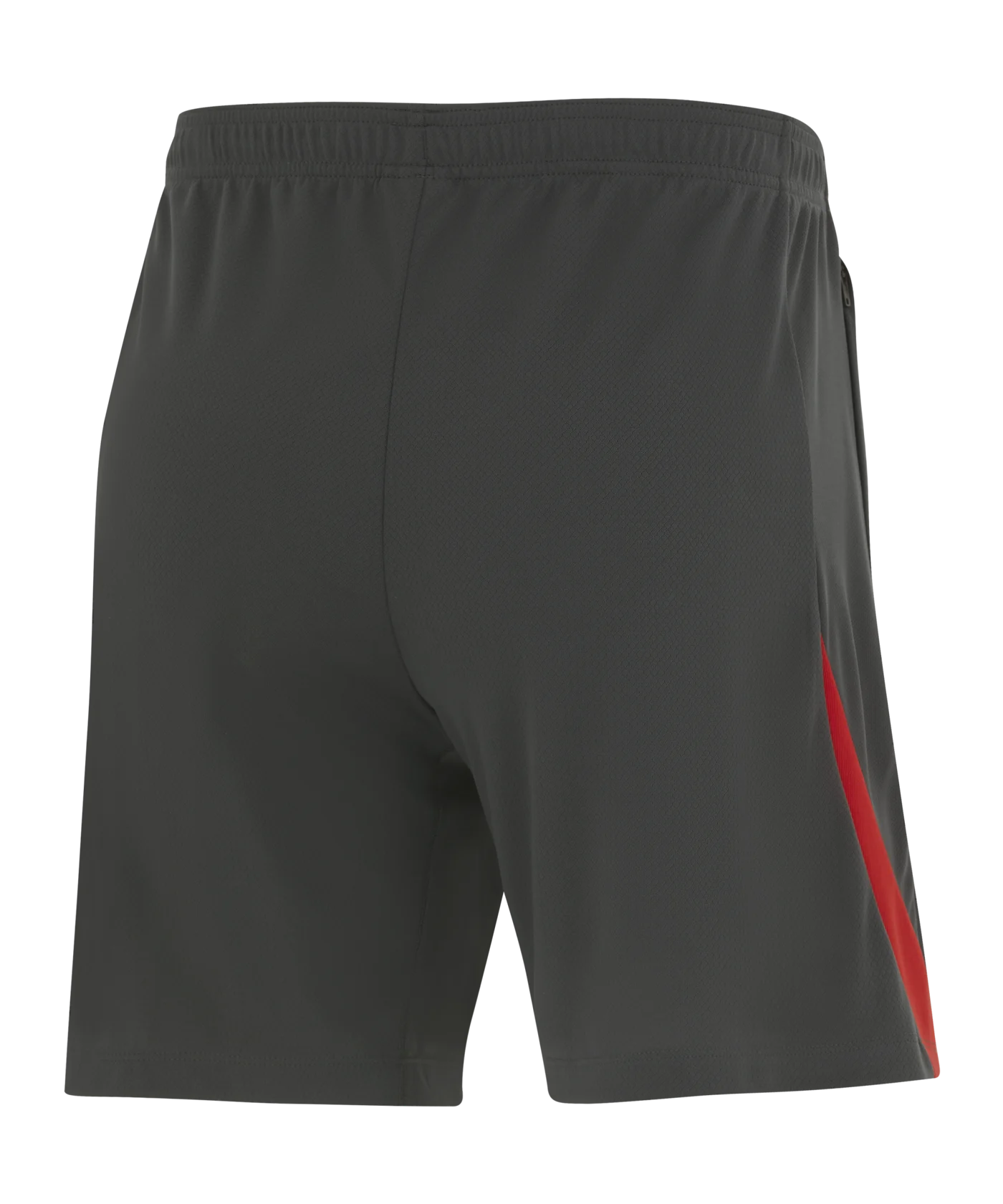 Nike Turkey Strike shorts grey white F060