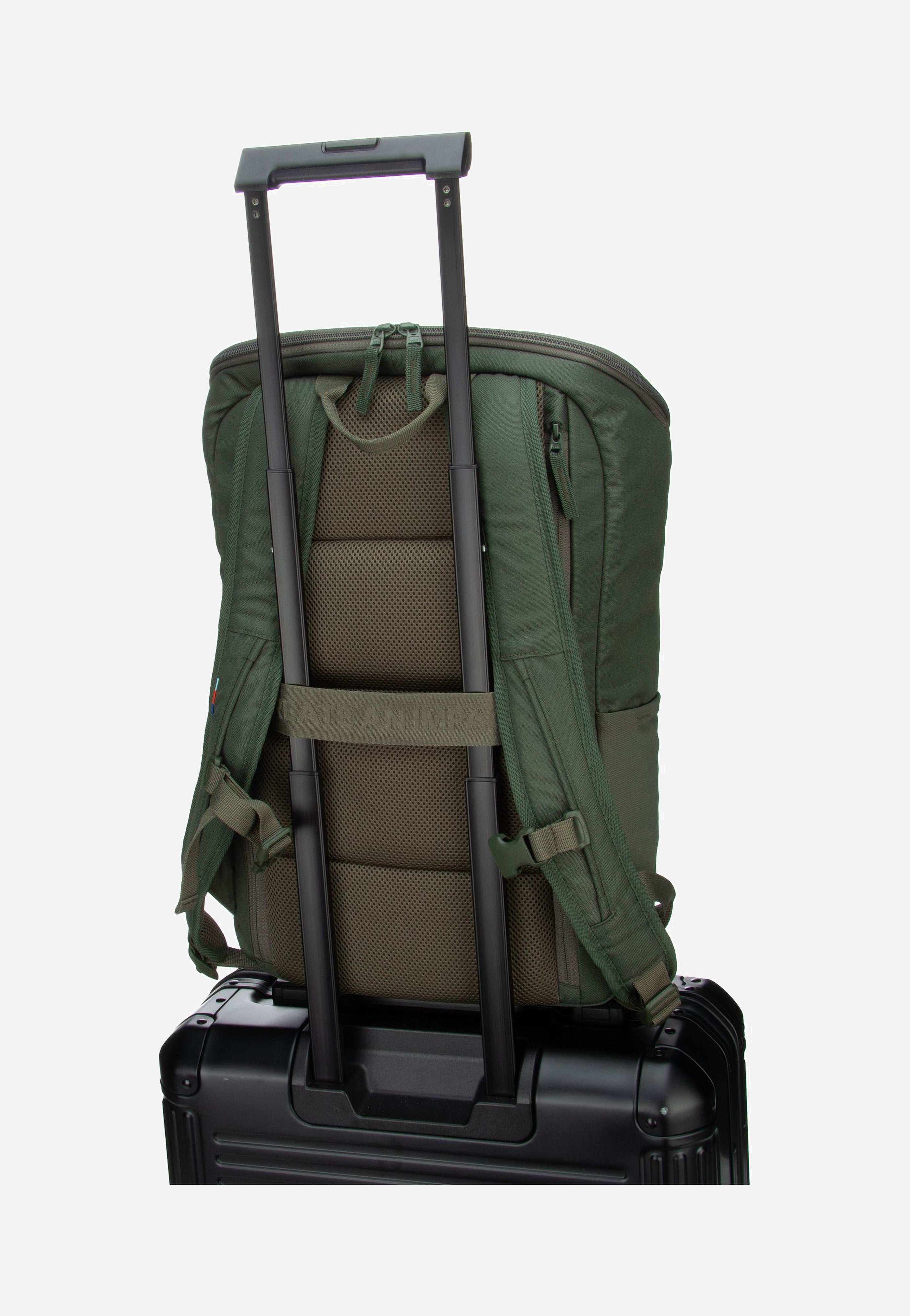 Pro Pack Algae - Rucksack
