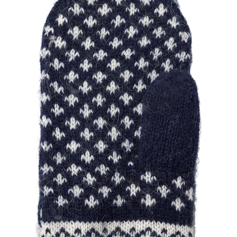 Hestra Kinder Nordic Handschuhe