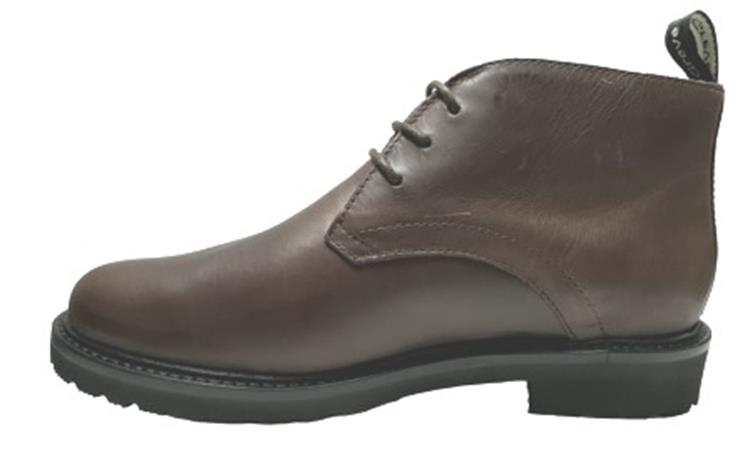 Greve 5570.01 Bruin