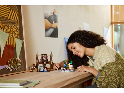 LEGO De arena bij het boslandhuis (21272)