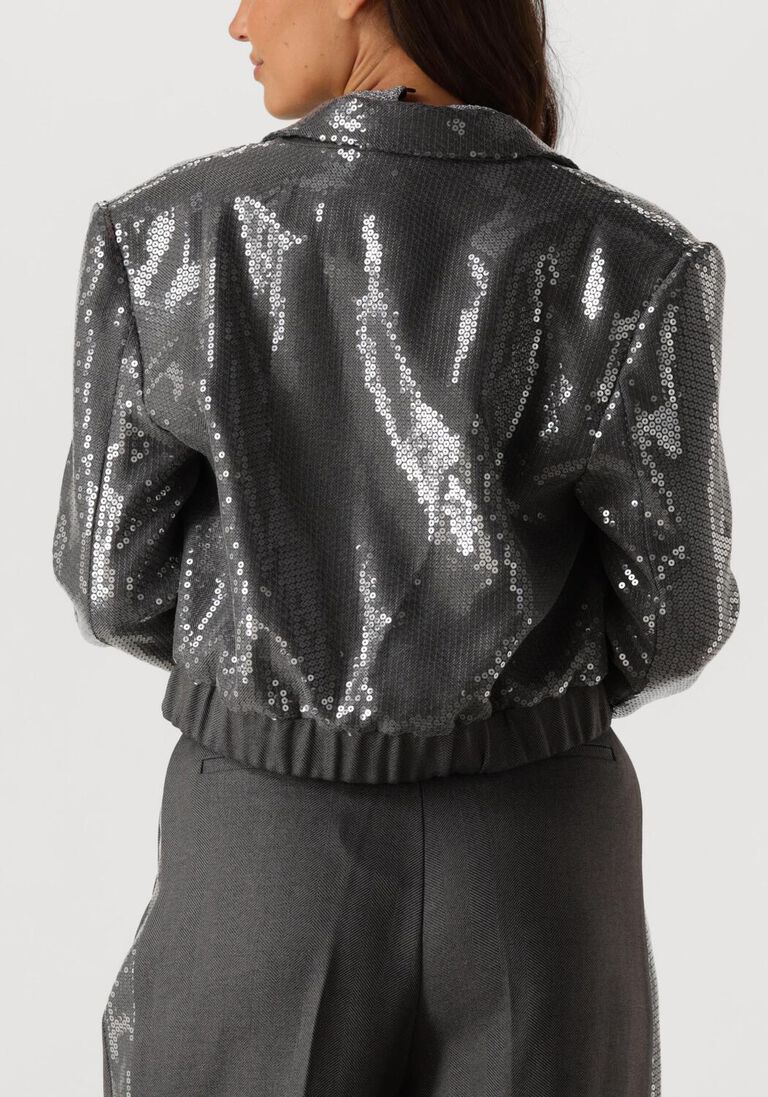 grijze aaiko blazer mille sequins pes 356