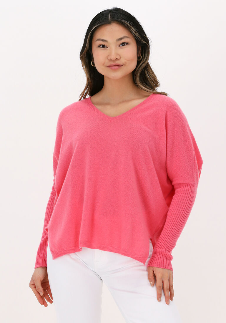 NOT SHY roze not shy trui faustine