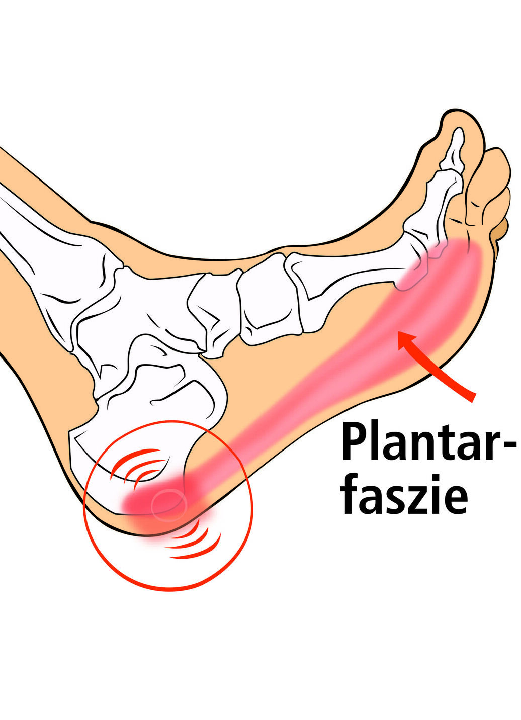 Vital Comfort Faszien-Fussroller