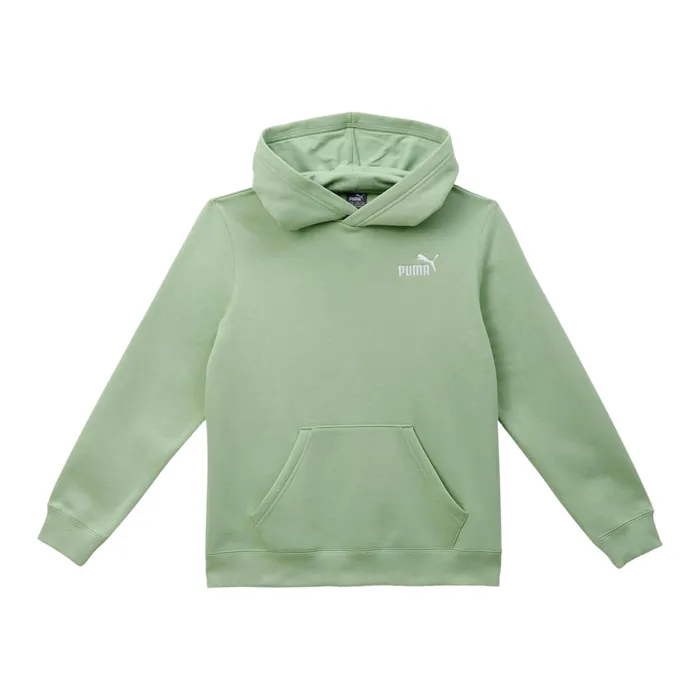 Puma Essentials+ Embroidery Hoodie Junior