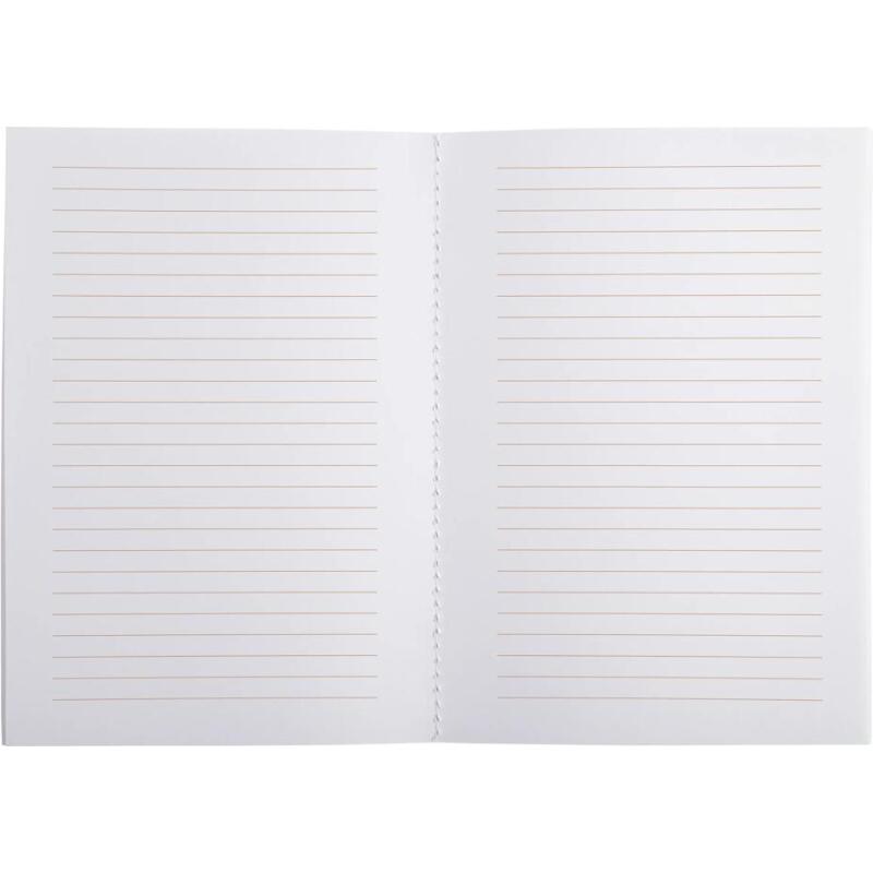 CARNET A6 LALO SPECIAL 100 ANS 48 PAGES LIGNEES