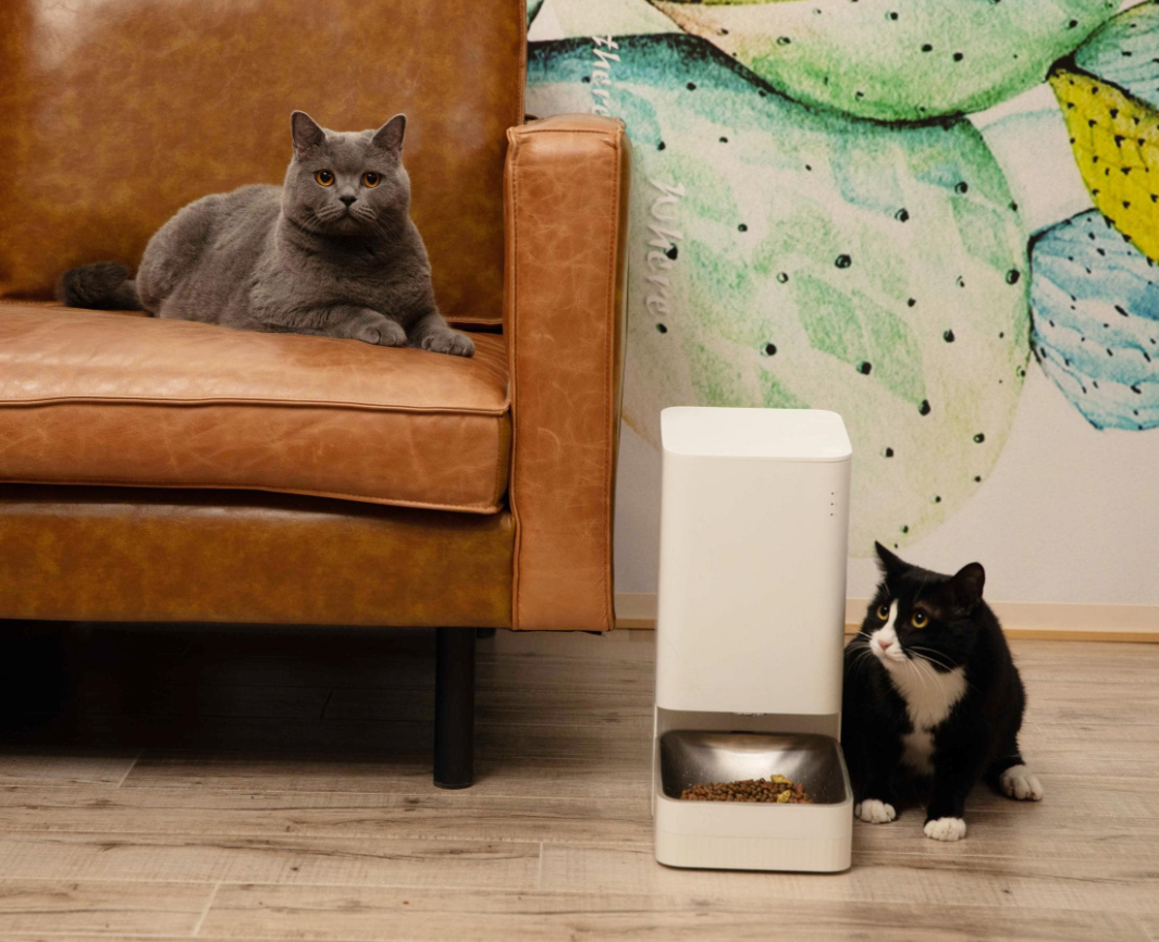 Smart Pet Food Feeder Automatischer Haustier Futter Spender mit App Steuerung (iOS/Android) - Weiss