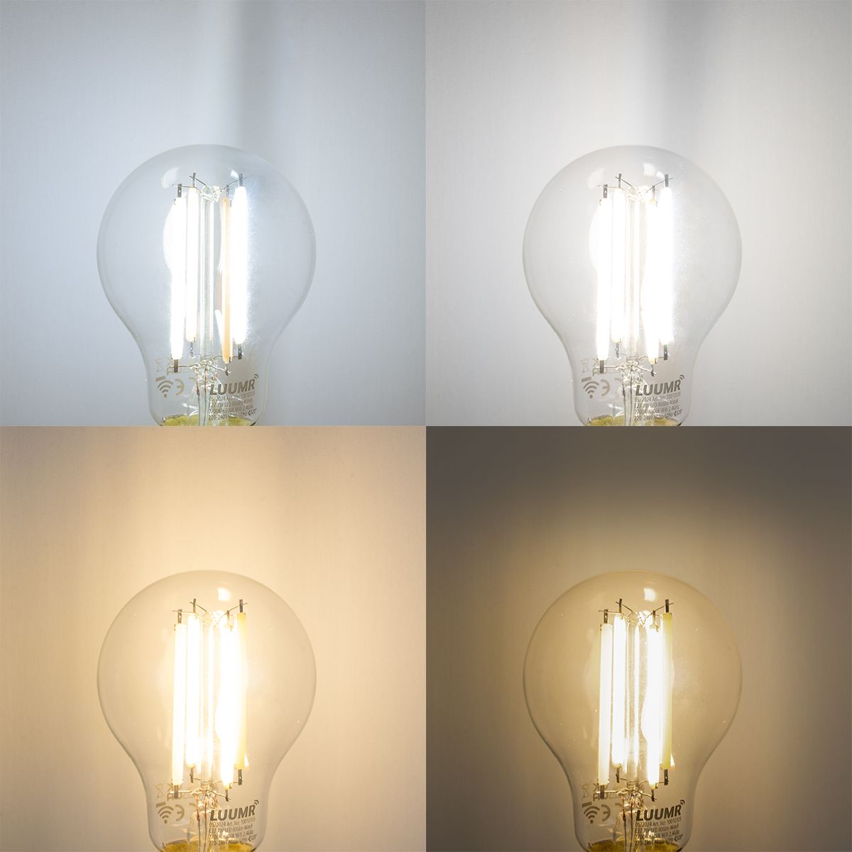 Smart hanglamp zwart 16-lichts verstelbaar incl. 16 Wifi A60 - Hobby Spinne