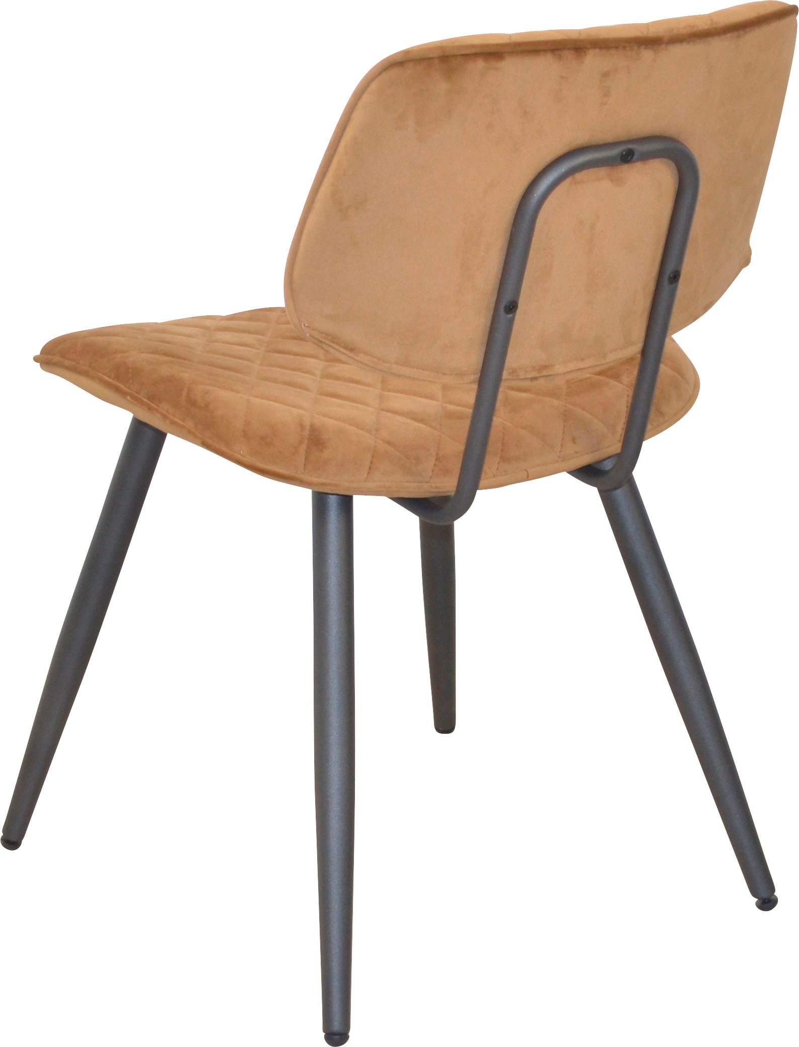 INOSIGN Polsterstuhl (Set) 1 Stk.Gestell aus Stahlrohr, Sitz und Rücken schaumstoffgepolstert