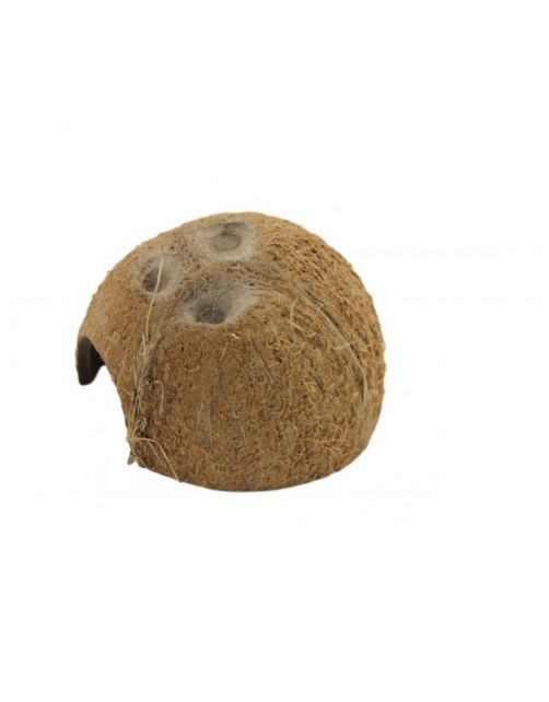 Ceramicnature Cocosnoot Schuilplaats - Aquarium - Ornament - Bruin