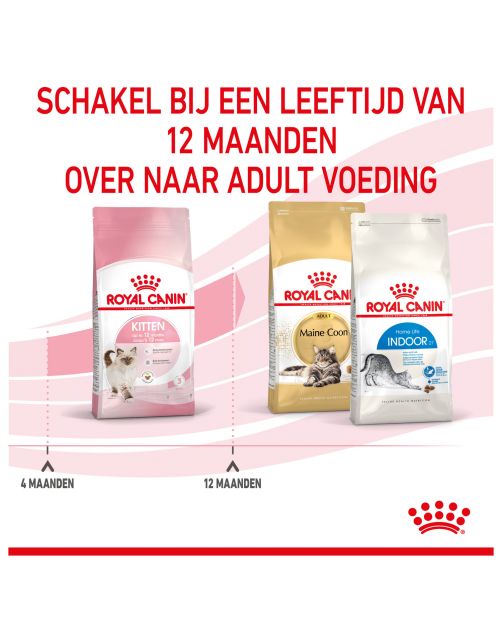 Royal Canin Kitten - Kitten-Kattenvoer