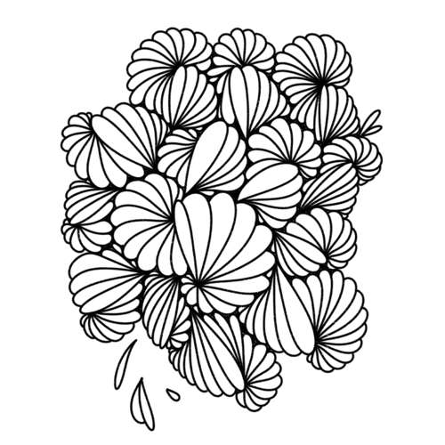 Calm Your Mind - Find Your Flow - Grundlagenbuch