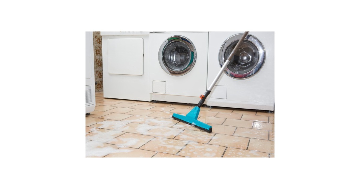 GARDENACombisystem vloerentrekker watertrekker  (Turquoise, 3642-20)