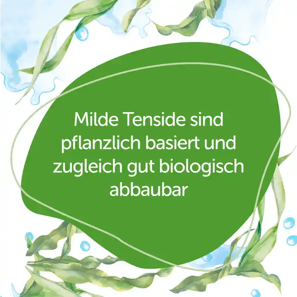 Mizellenwasser Bio-Alge