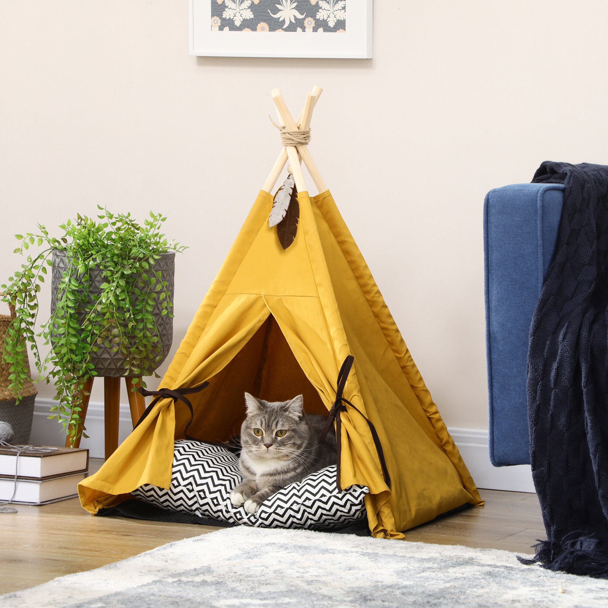 PawHut Katzenzelt mit Kissen gelb 60L x 60B x 76H cm