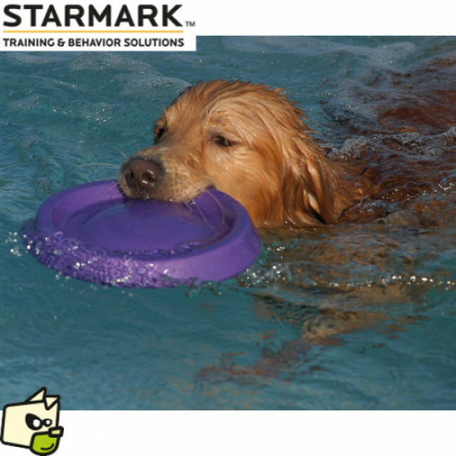 Frisbee Easy Glide Durafoam Starmark en mousse pour chien