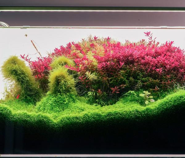 Chihiros Aquariumbeleuchtung LED-System B