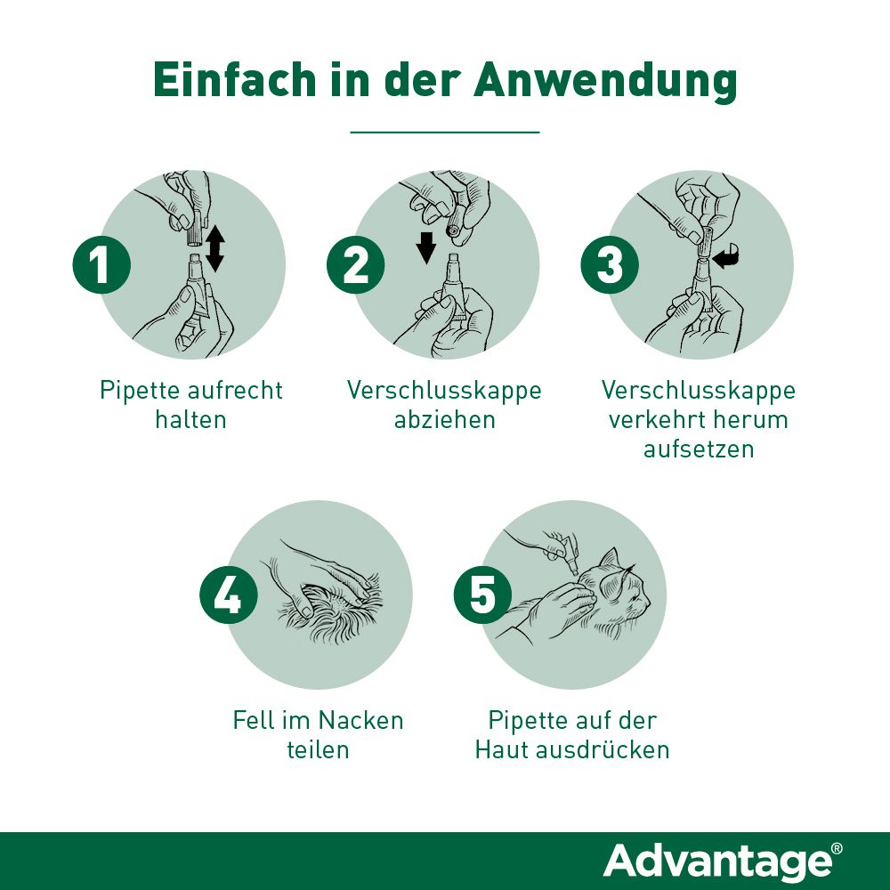 Advantage® 80 mg für Katzen und Zierkaninchen über 4 kg Körpergewicht