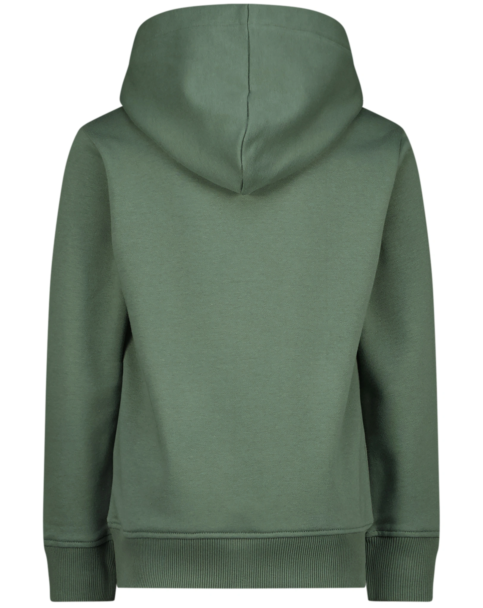 Kapuzen-Sweatshirt BASIC HOODY in biome green